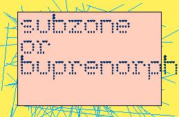 SubzoneOrBuprenorphine